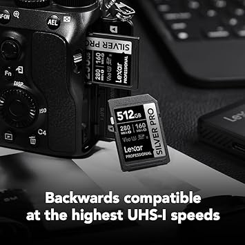 Lexar Professional 4 Lexar Professional 512 GB – U3 V60 205 MB/s